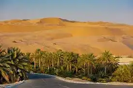 UAE Oases: Discover The Top 4 Hidden Gems