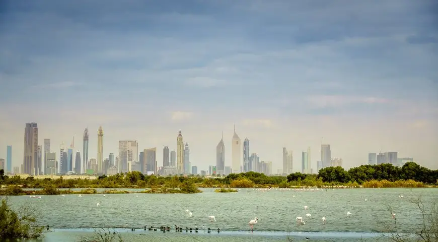 Monthly Rent Room in Dubai: The Complete Guide for Affordable Long Stays