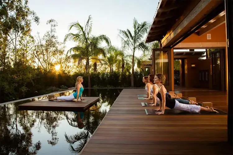 Wellness Retreats: Hotels That Cater to Mind, Body, and Soul
