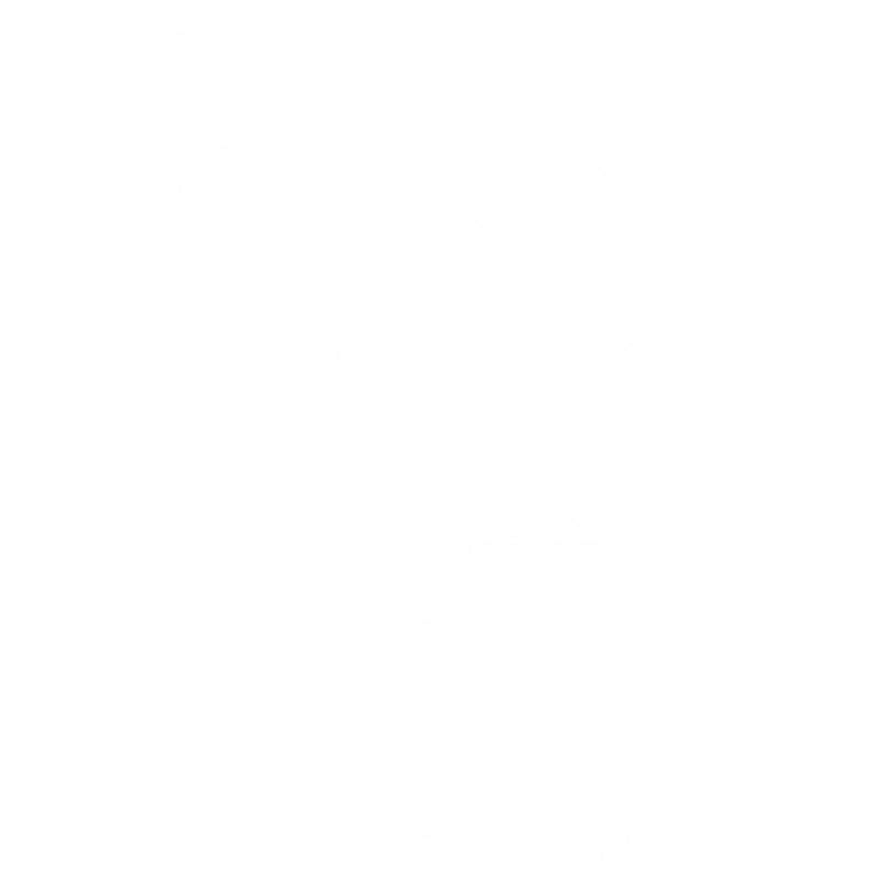 in5 Logo